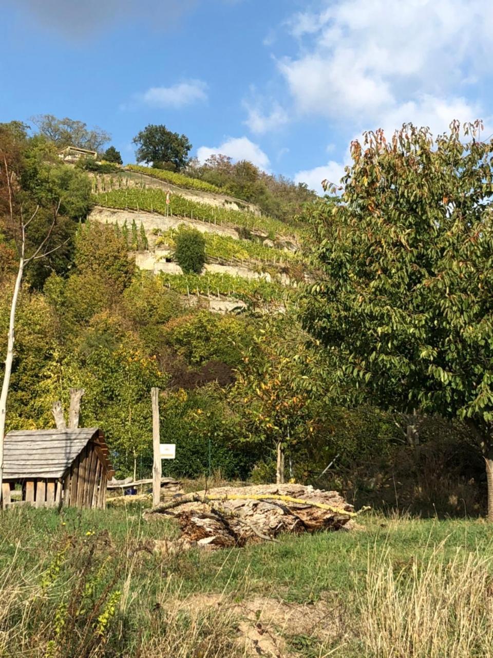 Hotel Garni Zum Rebstock Naumburg  Luaran gambar